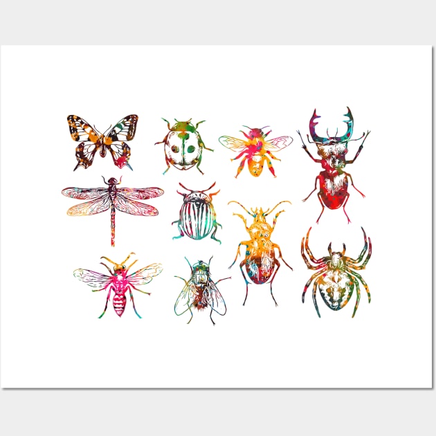 Insect Collection Wall Art by erzebeth